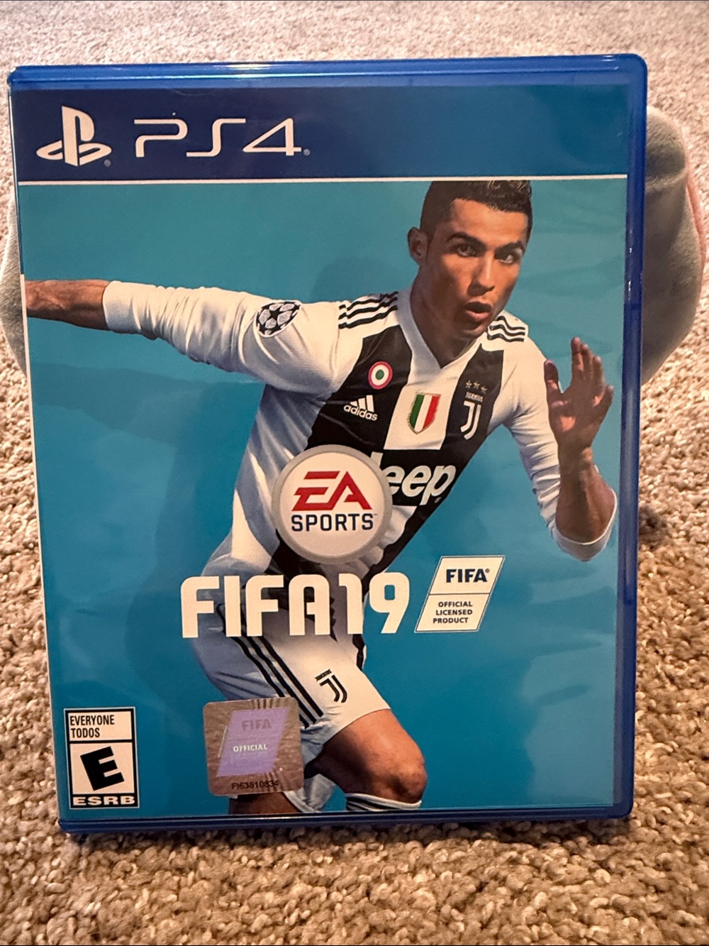 FIFA 19 (PS4) Video Game - Blue Case